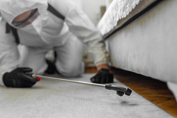Professional Cockroach Control technician working in Moon Lake, FL