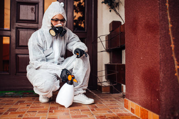 Reliable Cockroach Control contractor in Moon Lake, FL by Nex Pest Control